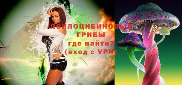дживик Алзамай